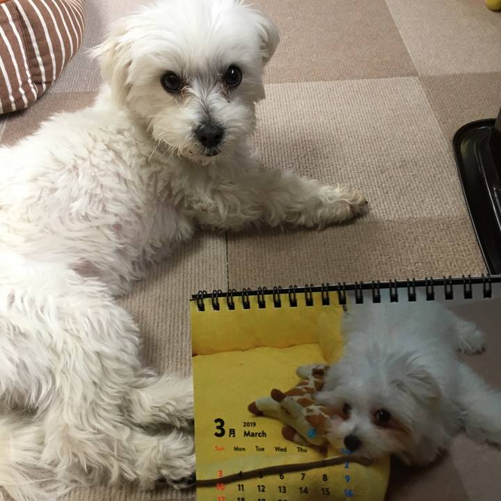 58bbff31 a6f7 4a4e a830 9d633466a92c 1551397815515