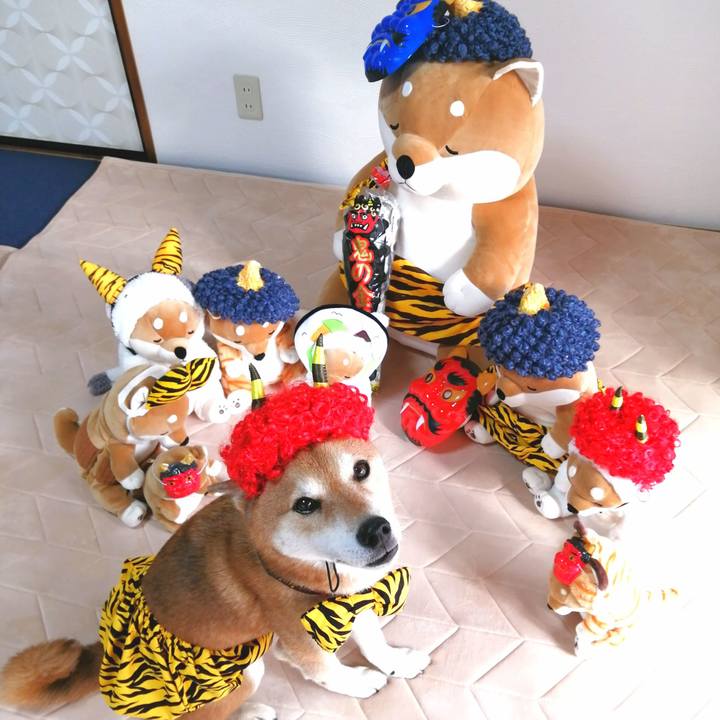 58bc030d 2474 4cba b384 80c03540f505 1675057642077