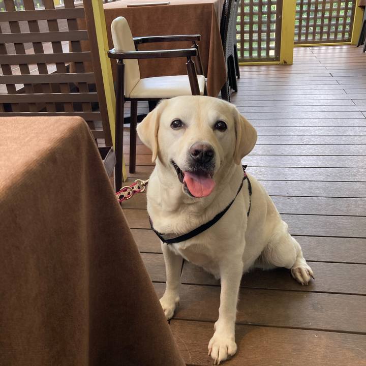 58bc5c1a c66d 46c3 aef1 c21ae3560ed0 1725066344571