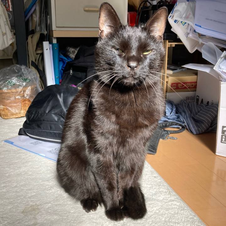 58bc62af 9b2f 46bc ab63 6f1cdf9d1187 1770181030564