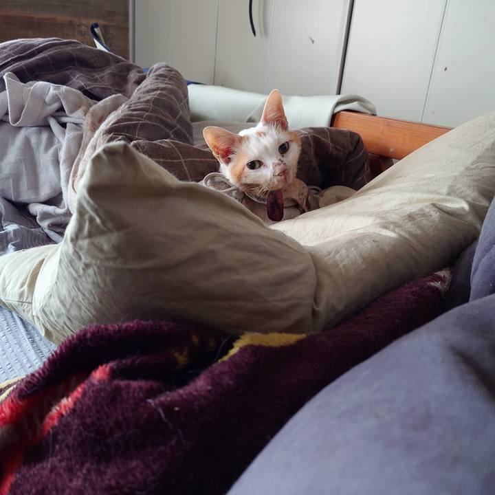 58bc9061 ac9a 400d b4c3 0ca9055cfc5e 1773709575639