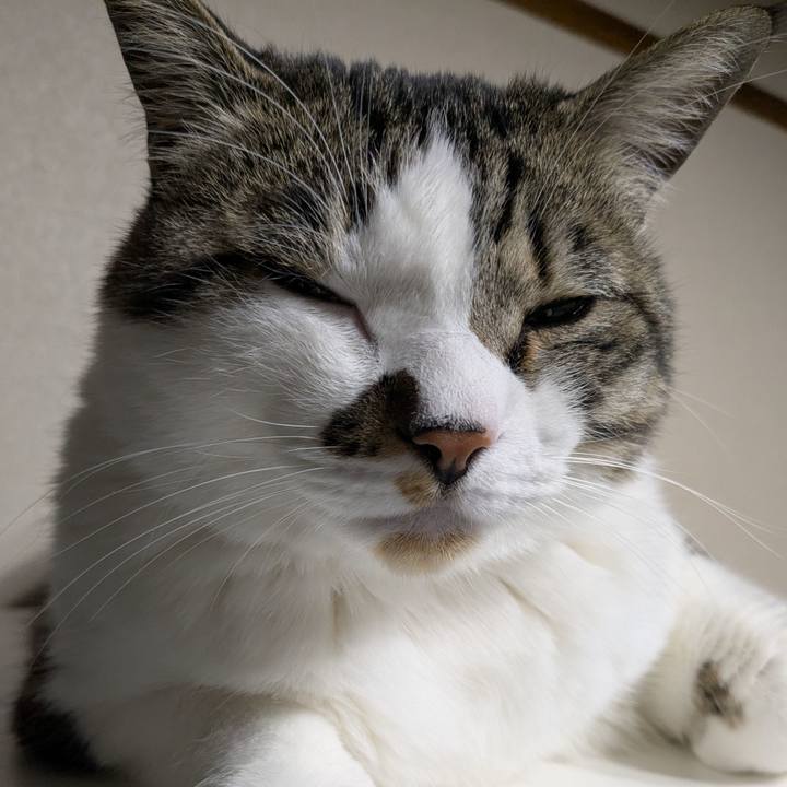 58bcffed 2dc2 4f69 9127 88ac1f4b1798 1743938934782