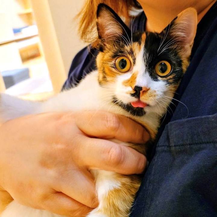 58bd1645 ef25 4d4a b6a1 7b1894f60100 1764342181414