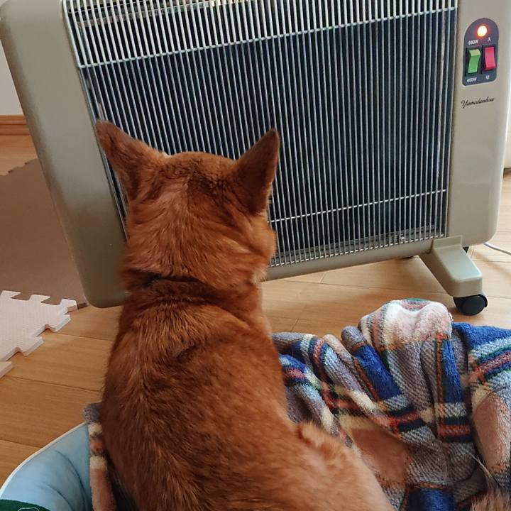 58bd34f7 43f3 450a 84ce 509f2113b1a5 1573289397991