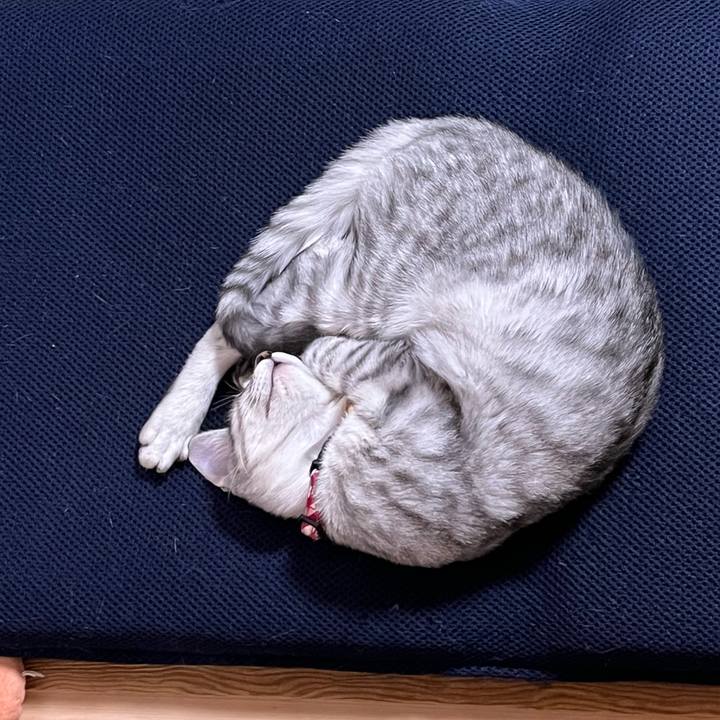 58bd4ed2 be51 4a14 8199 20604e832254 1703412155238