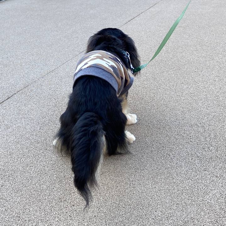 58bd9263 1897 413e a5af 5f079f3027e8 1691015474303