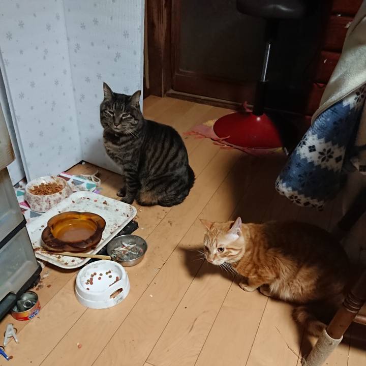 58bdd1cd 019c 4b92 8735 8b25b6f7f14e 1644010241698