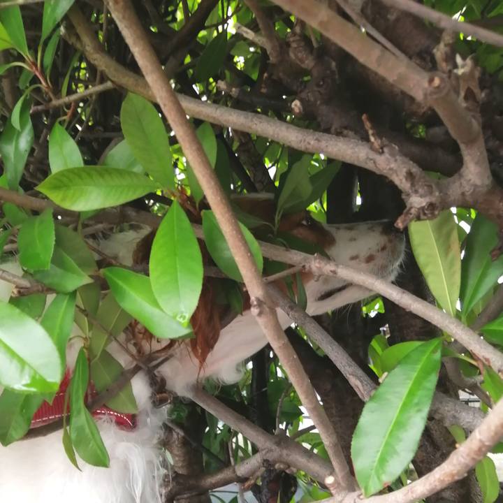 58bdfadf da10 4bc6 97e5 96220c7d429f 1594625036013