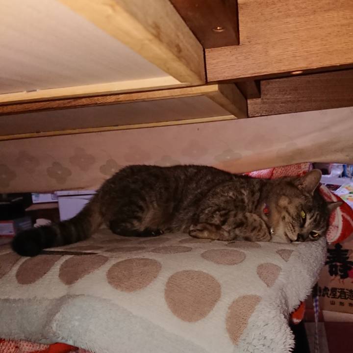 58be2324 6ad7 47e1 ab88 4769036628e9 1585600813807