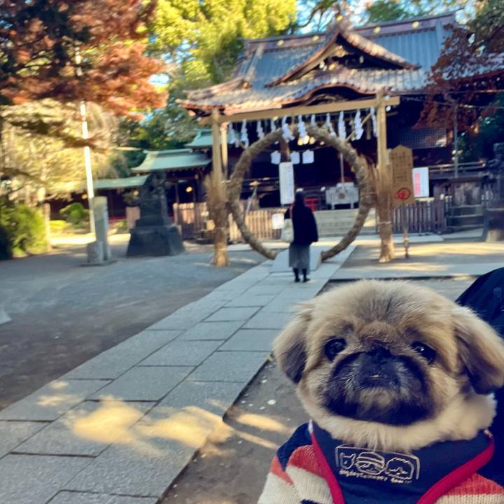 58be3817 21cb 42ff 9015 797226b57f6b 1733961595576