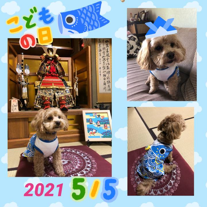 58be438f dc29 4573 a6cc bd04e9e30b50 1620156159452