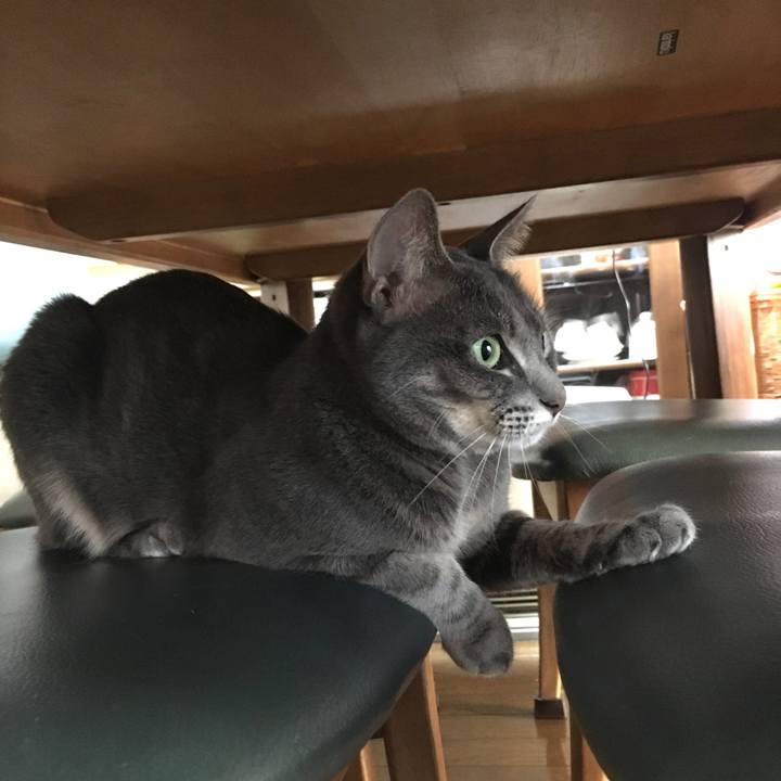 58be8c5a 028c 400e 96c8 e5e8964d27a6 1573859558940