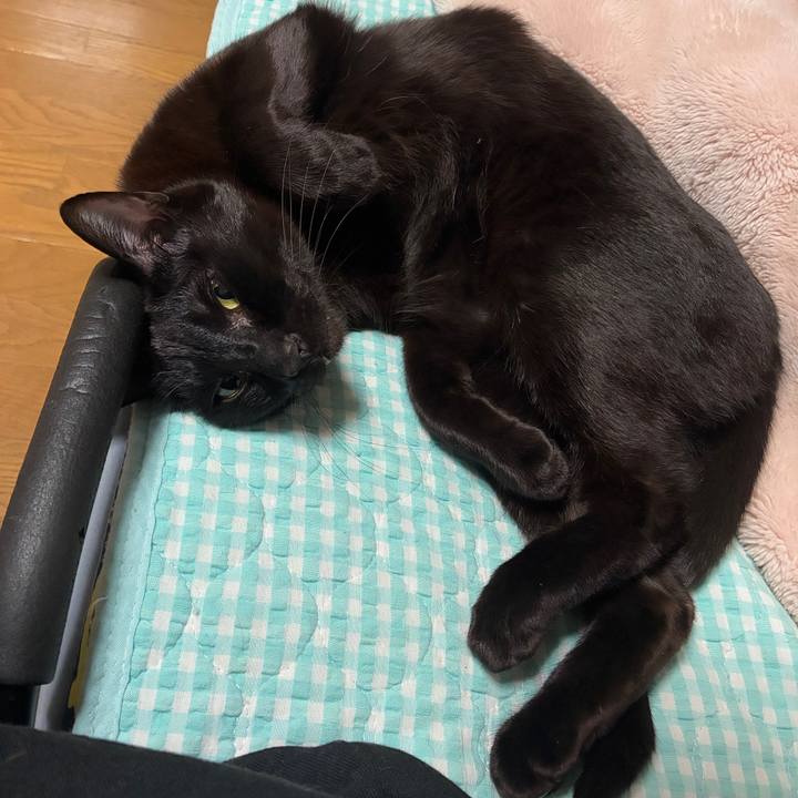 58be8e59 2aea 4c88 b32b b53339faafd2 1745066965656