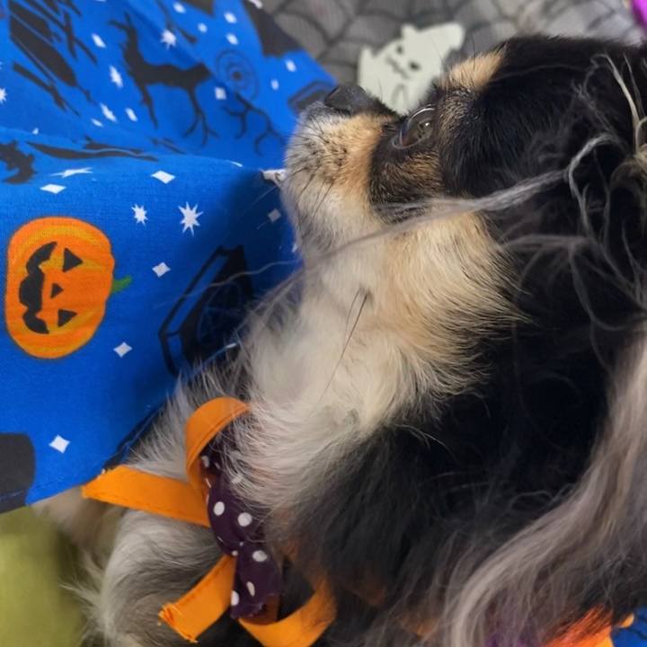 58bea9b9 4e39 4c67 bb32 6351d4ae605b 1603933251697