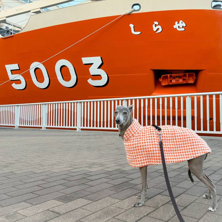 58beac18 57ba 469c 9b02 6b853642097f 1760141977773