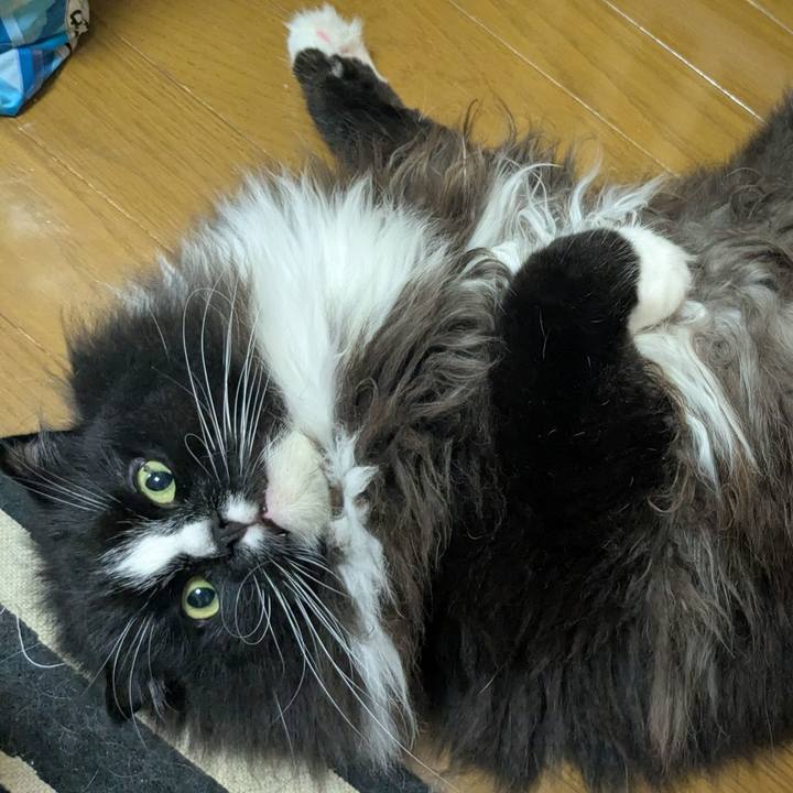 58bef1b9 0631 4cd6 a317 14426ca7cc83 1757378422648