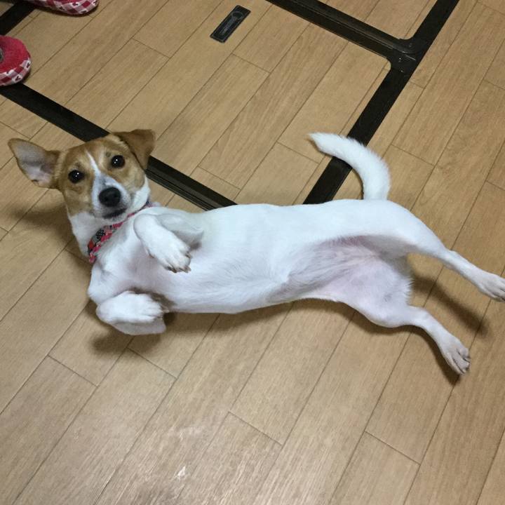 58bf015c a9fc 4fd2 b69b 73aeec62d1d1 1512037657282