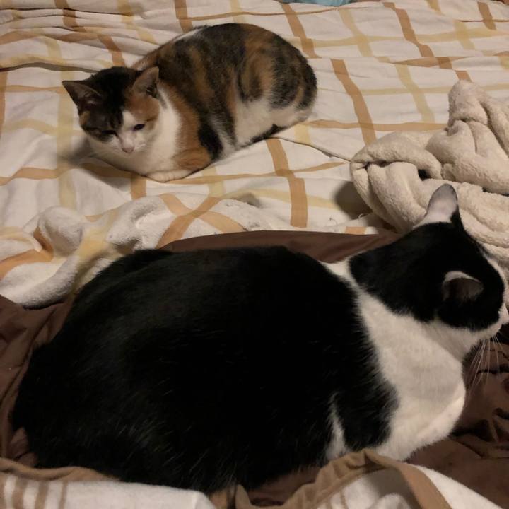 58bf04a1 023b 41fc 8fac 0d409d04d786 1578945786944