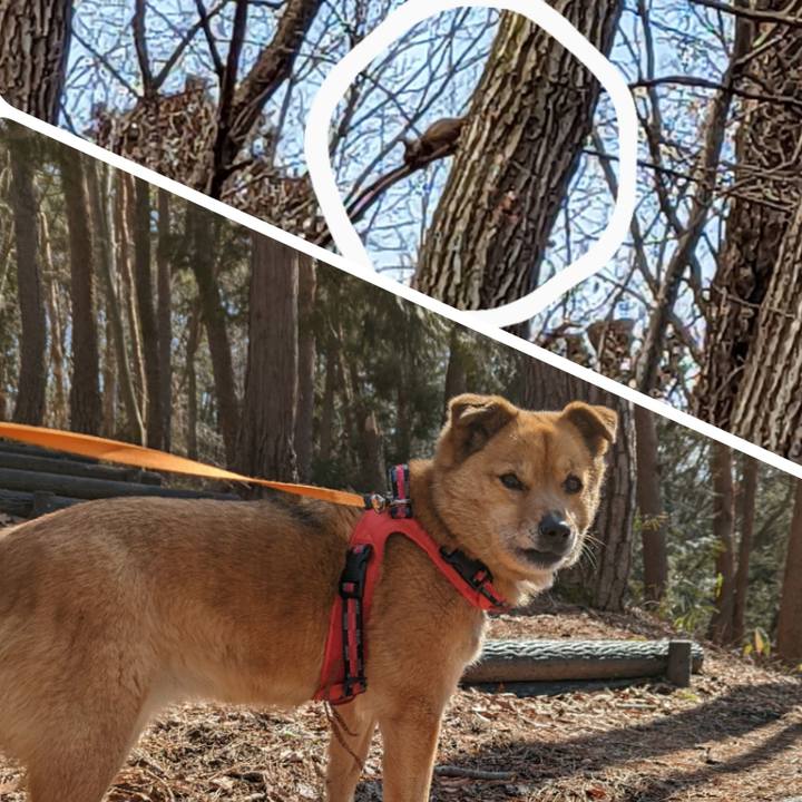 58bf4df5 1ad9 4a41 bb7b 9a7570bf72c4 1646903231343