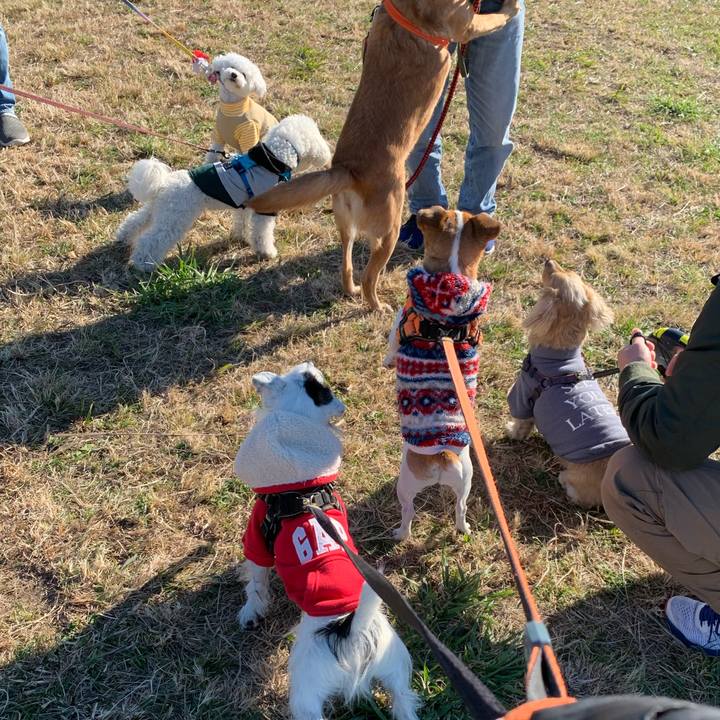 58bf511d 14a6 4986 8f81 78e0f3452c19 1607996447289