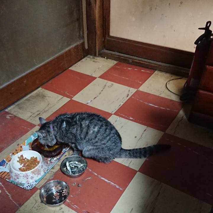 58bf9841 0975 479a b53a aa31ef4a35f7 1582795495063