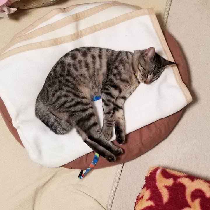 58c00711 682f 44c6 93b8 a180bfe62d39 1677251979354