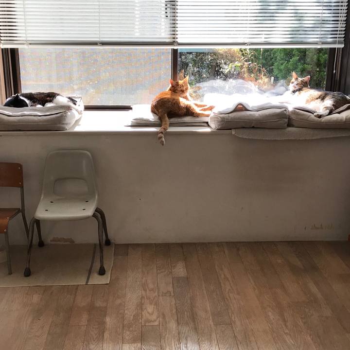 58c01f42 7a8b 4ac1 a65c f4b952eb3629 1512550135558