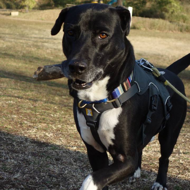 58c03616 6e93 4c90 9364 6db1410f7f17 1646786711247