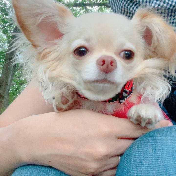 58c0465c 1eaa 4e83 901e 907f4cdf4a6c 1626252480319