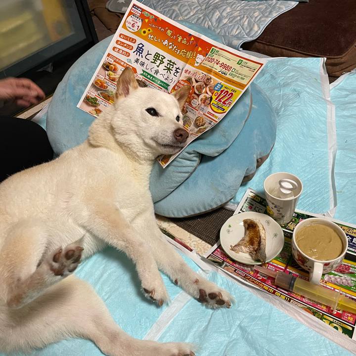 58c04f5f 334f 47e7 b4ef a4e48531099c 1653316577688