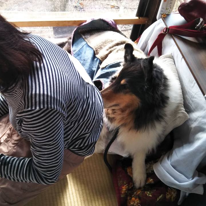 58c058ce a5a8 45b4 ae21 f83b9a4edee0 1581339546137