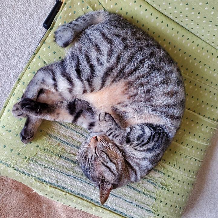 58c05aa1 8862 4f56 b5d0 a26c4e9ccf70 1716512936269