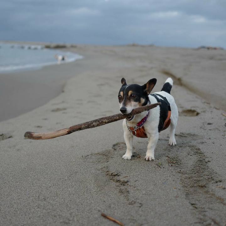 58c09166 d276 4ae5 8af7 207ebb7801a6 1516516725515