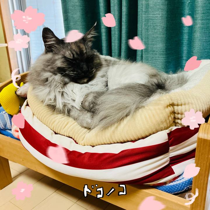 58c0d0e2 eba0 4567 915e 5fe443eb42e2 1744251012064