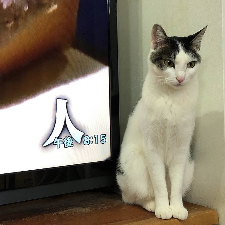 58c0d207 61ba 46bb b03b 2b6fd0ce8723 1648120656131