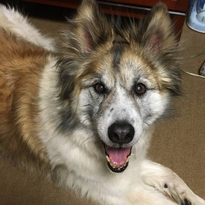 58c0f00f f7c2 45aa bb0a 111901e0abf2 1597105020023