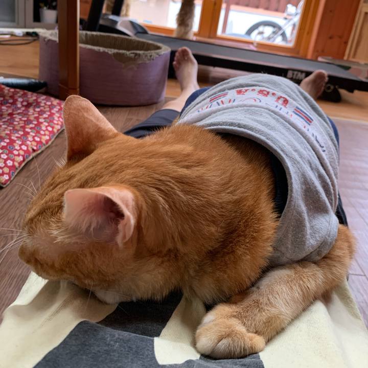 58c15a6d 9583 4358 8847 2966314a7eee 1628312965821