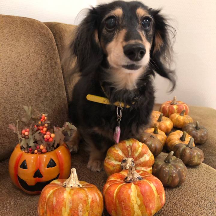 58c178af a335 4d7c ad67 e9e18323bdfd 1604143744960