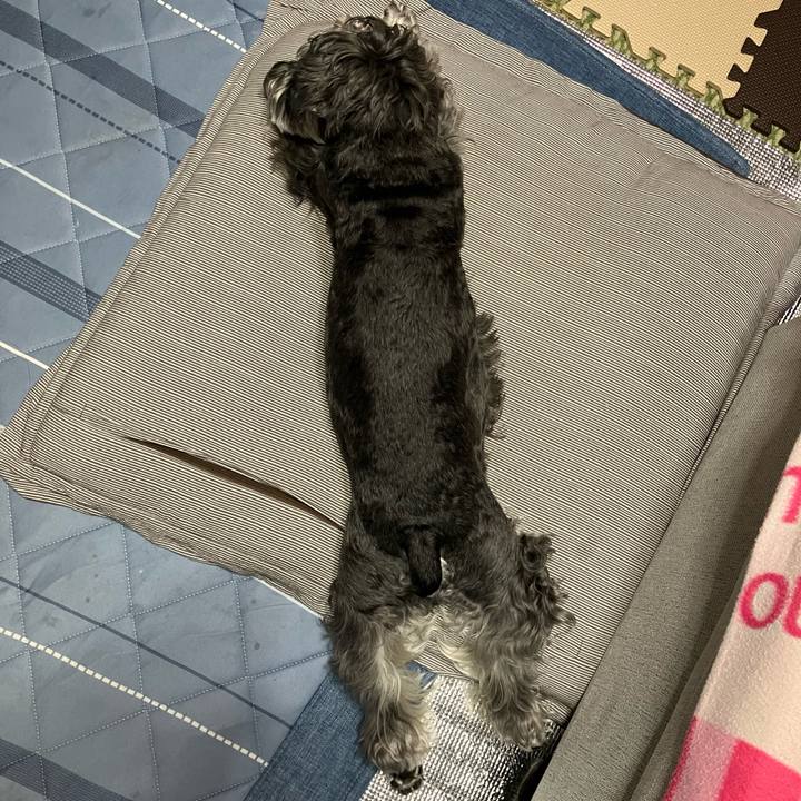 58c17ed3 c01b 4e55 99a3 a3b25ebd9f94 1720360901051