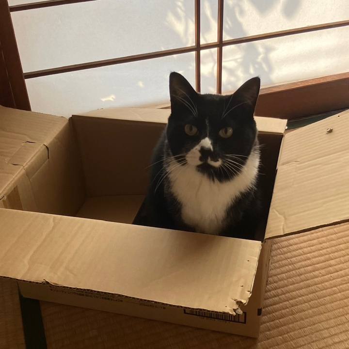 58c19df2 6339 43cb a38f d41e08cb85a3 1700020261683