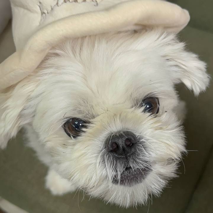 58c1ba88 3430 4752 a566 20cae74cc7e2 1760143034170