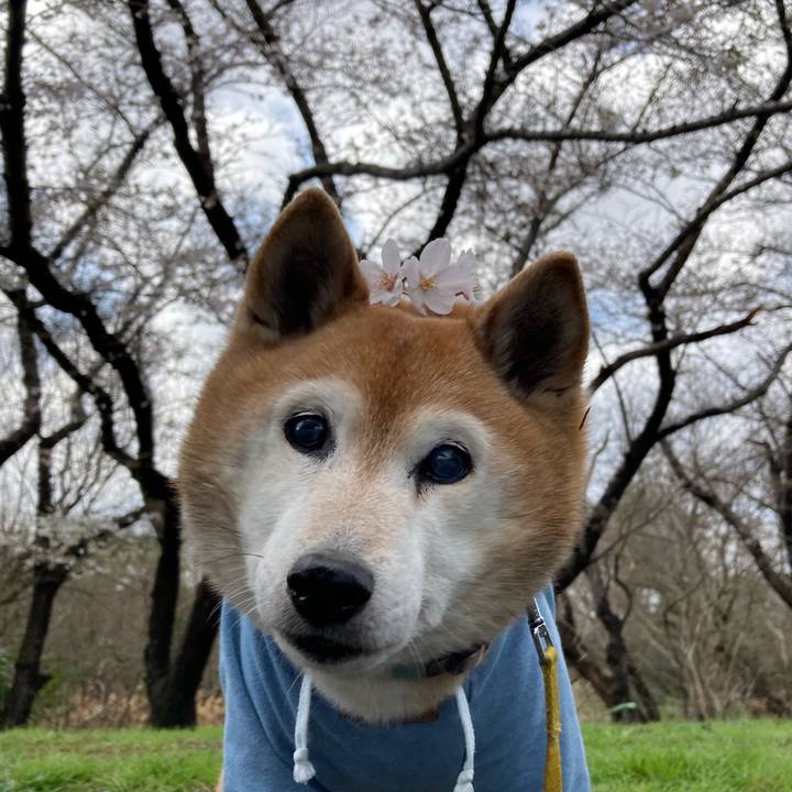 58c1bbdf 4e87 4349 b38b 876df6a865ce 1774665785285