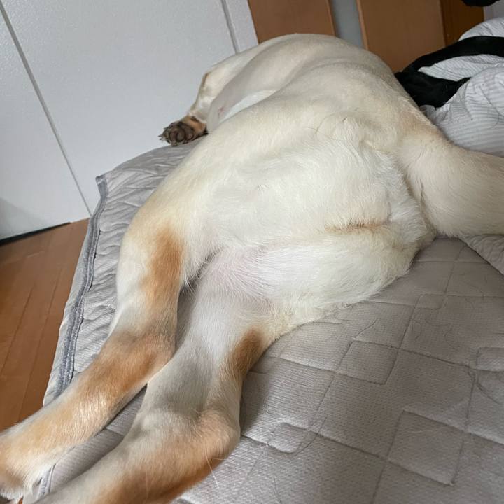 58c1d591 5a18 41d0 9157 f611962c0ec7 1655246221593