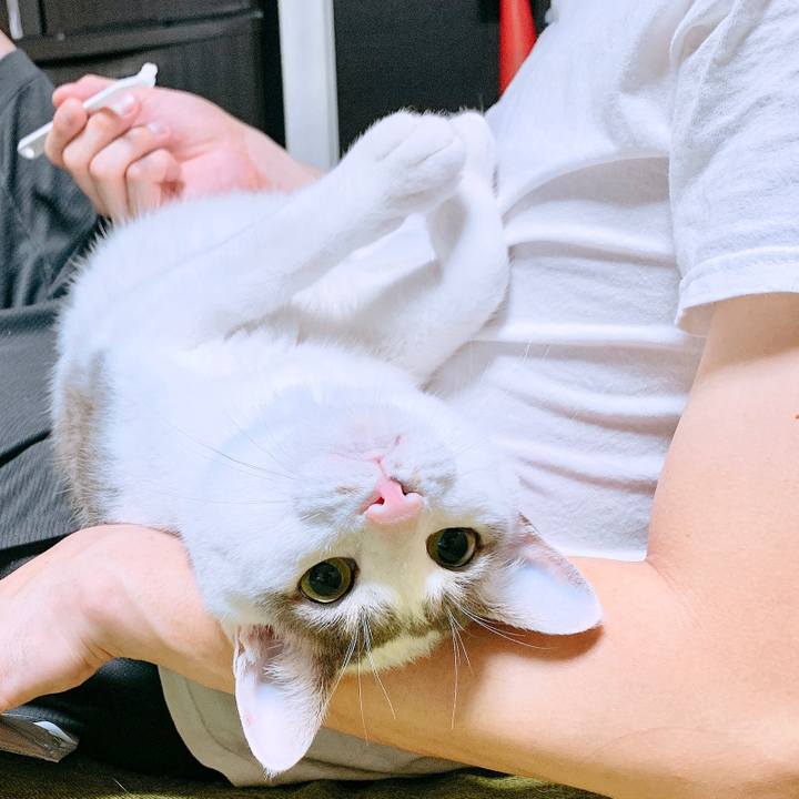 58c210c5 aec7 41b1 9295 f235fc11aede 1601943146695