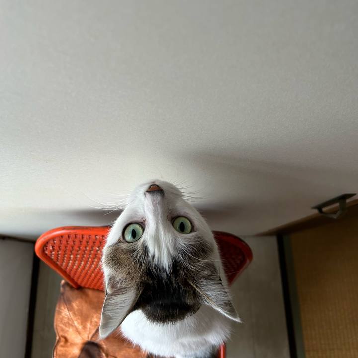 58c23a79 625c 4198 aa63 28860d17fb4a 1732001812969