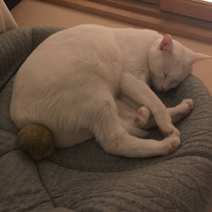 58c23e64 a72f 49ec 9b22 192d74c849d7 1524928533730