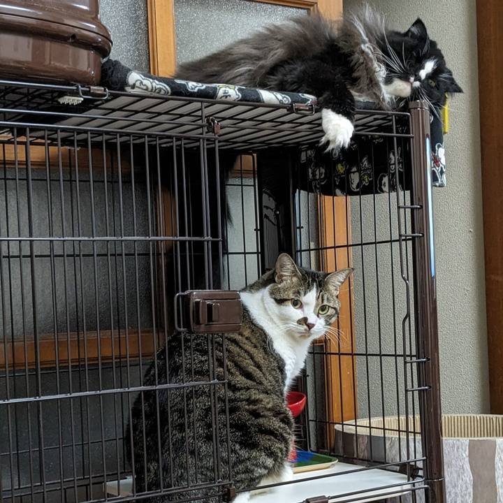 58c2c5e4 800d 4743 bf7a ef94f62ee10b 1693481559243