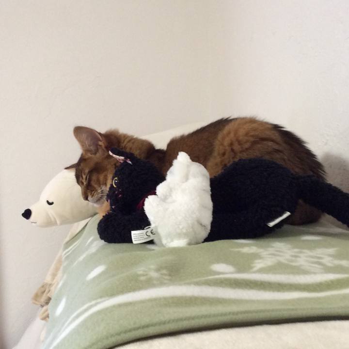 58c2e6c1 8722 4cb8 bb98 c54ecfcdd86d 1582187340713