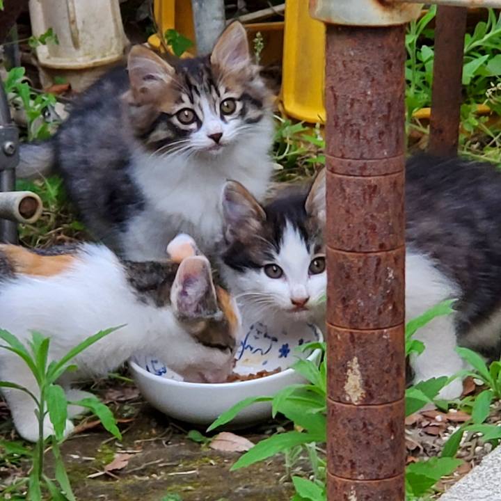 58c2fae6 c8f4 489c a569 b3c8e18a344a 1686640873833