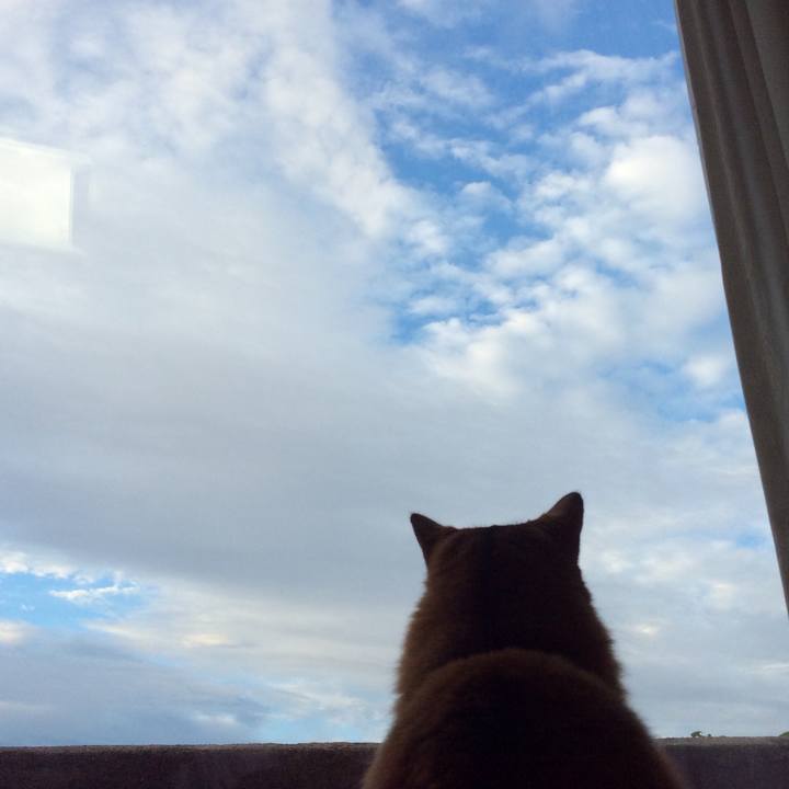 58c335a4 ac63 4a38 a068 a0ea2c54d6ca 1602797551055